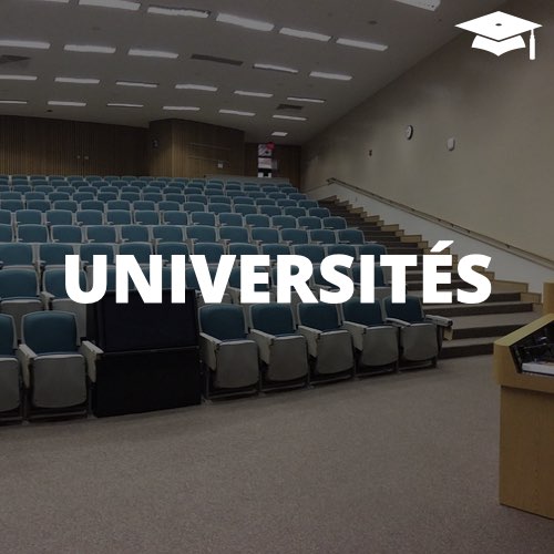 00 global-logo_section-05.jpeg